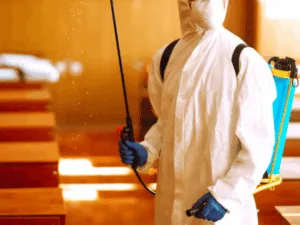 Metodi Di Sanificazione Post Mortem Sicilia Metodi Di Sanificazione Post Mortem Sicilia