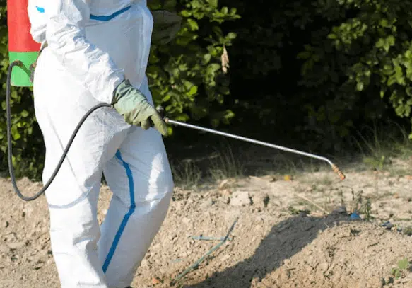 Disinfestazione dengue Sicilia