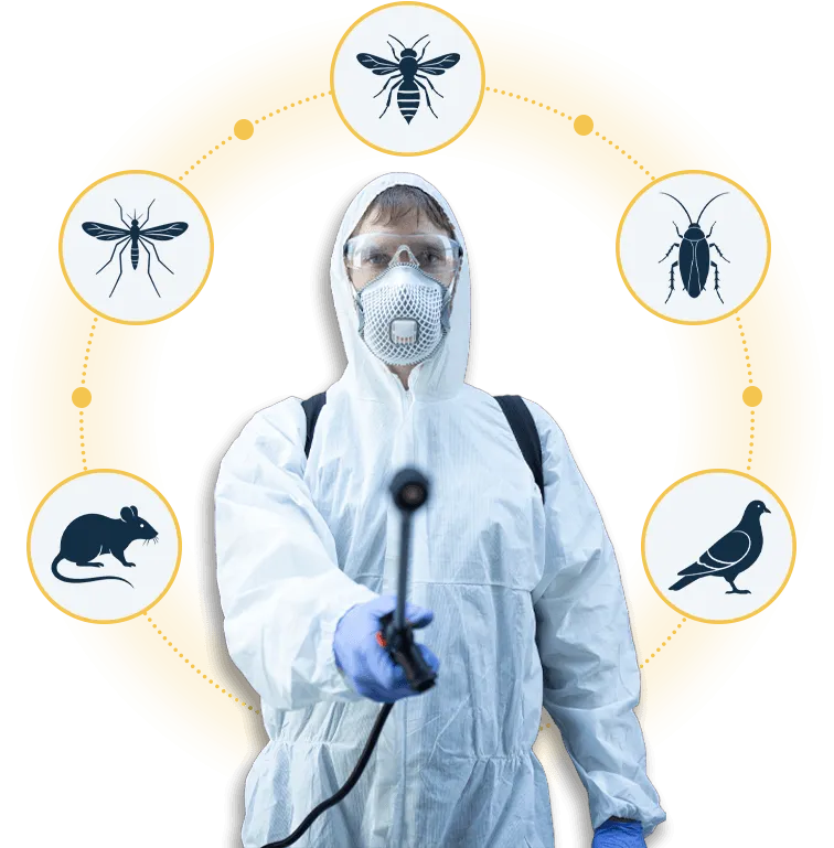 immagine tecnico disinfestazione con icone infestanti intorno